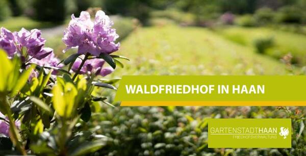 Waldfriedhof Haan