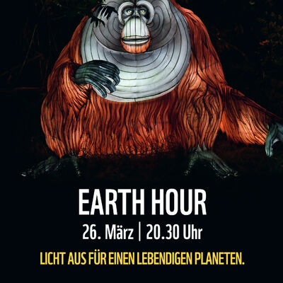Earth-Hour 2022 Städte-Plakat